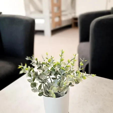 Apartmany Plzen Zborovska 22 A Экстерьер фото