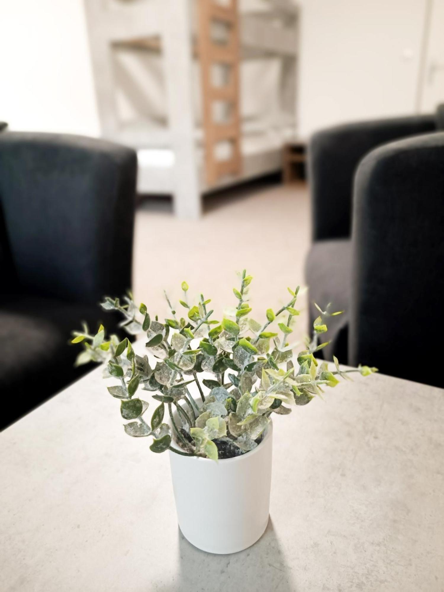 Apartmán Zborovska 22 A *